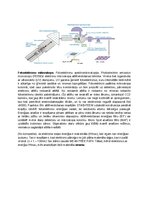 Paraugs 'Spektroskopijas metodes medicīnā', 59.