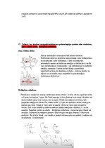 Paraugs 'Spektroskopijas metodes medicīnā', 64.