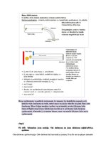 Paraugs 'Spektroskopijas metodes medicīnā', 91.