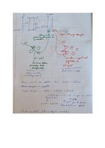 Paraugs 'Spektroskopijas metodes medicīnā', 104.