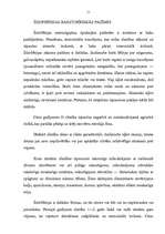 Referāts 'Šizofrēnija', 11.