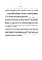 Referāts 'Darba kārtība kā darba likuma dabiska daļa', 2.