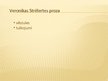 Prezentācija 'Veronika Strēlerte', 5.