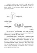 Referāts 'Audzināšana un izglītība', 4.