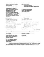 Referāts 'Komercbanku bilances posteņi, to stāvoklis Latvijā pēc 1995.gada finanšu krīzes', 11.