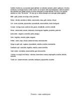 Referāts 'Mans izskats', 8.