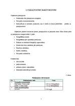 Biznesa plāns 'Biznesa plāns. SIA "Super foto"', 5.