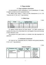 Biznesa plāns 'Biznesa plāns. SIA "Super foto"', 7.