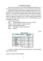 Biznesa plāns 'Biznesa plāns. SIA "Super foto"', 11.