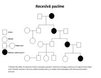 Paraugs 'Ģenealoģiskā metode', 1.