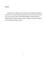 Referāts 'Skābeklis un ozons', 2.