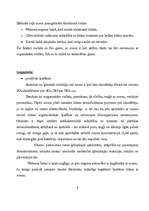 Referāts 'Skābeklis un ozons', 9.