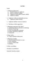 Referāts 'Mārketinga plāns SIA “Agris”', 2.