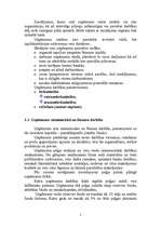 Referāts 'Mārketinga plāns SIA “Agris”', 5.