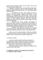 Referāts 'Mārketinga plāns SIA “Agris”', 6.