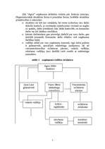 Referāts 'Mārketinga plāns SIA “Agris”', 7.