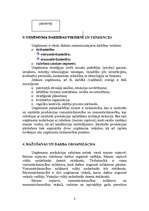 Referāts 'Mārketinga plāns SIA “Agris”', 8.