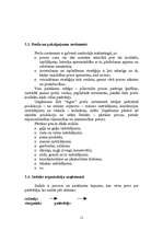 Referāts 'Mārketinga plāns SIA “Agris”', 11.