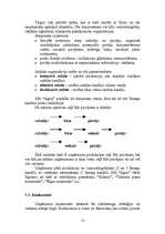 Referāts 'Mārketinga plāns SIA “Agris”', 12.