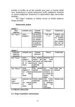 Referāts 'Mārketinga plāns SIA “Agris”', 13.
