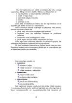 Referāts 'Mārketinga plāns SIA “Agris”', 18.