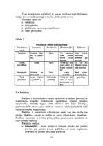 Referāts 'Mārketinga plāns SIA “Agris”', 20.