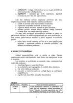 Referāts 'Mārketinga plāns SIA “Agris”', 21.