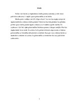 Prakses atskaite 'Grāmatvedības paņēmienu pielietojums', 3.