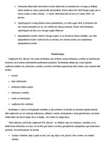 Referāts 'Vadības problēmas organizācijā. Organizācijas vide', 16.