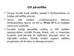 Prezentācija 'Eiropas Sociālais fonds', 20.