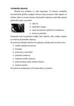 Referāts 'Psiholoģiskie traucējumi grūtniecībā un pēcdzemdību periodā', 6.