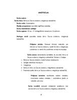 Referāts 'Bērna ar Dauna sindromu integrācija sabiedrībā', 40.