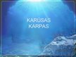 Prezentācija 'Karūsas, karpas', 1.