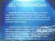 Prezentācija 'Karūsas, karpas', 6.