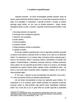 Diplomdarbs 'Izspiešana', 20.