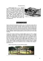 Referāts 'Antīko kultūru sporta būvju celtniecības vēsture', 6.