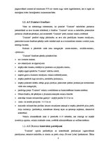 Referāts 'AS "Dzintars" produkcijas eksporta plāns uz Krieviju', 6.