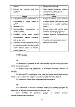 Referāts 'AS "Dzintars" produkcijas eksporta plāns uz Krieviju', 11.