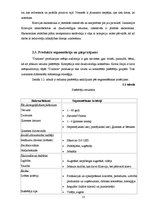 Referāts 'AS "Dzintars" produkcijas eksporta plāns uz Krieviju', 13.