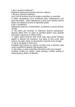 Konspekts 'Olimpiskās spēles Senajā Grieķijā', 13.