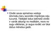 Prezentācija 'Agrā un vidējā akmens laikmeta cilvēku dzīves apstākļi un sabiedrība', 7.