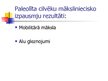 Prezentācija 'Agrā un vidējā akmens laikmeta cilvēku dzīves apstākļi un sabiedrība', 28.
