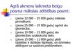 Prezentācija 'Agrā un vidējā akmens laikmeta cilvēku dzīves apstākļi un sabiedrība', 40.