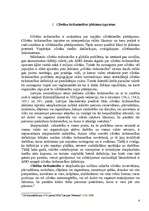 Referāts 'Cilvēku tirdzniecība kā cilvēktiesību pārkāpums', 4.