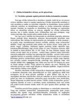 Referāts 'Cilvēku tirdzniecība kā cilvēktiesību pārkāpums', 7.