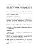 Eseja 'Pārspriedums par filmu “Mūžīgi Lilija”', 4.