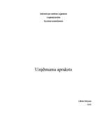 Referāts 'SIA “Stars” uzņēmuma apraksts', 1.