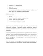 Referāts 'SIA “Stars” uzņēmuma apraksts', 3.