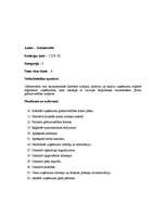 Referāts 'SIA “Stars” uzņēmuma apraksts', 7.