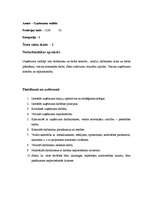 Referāts 'SIA “Stars” uzņēmuma apraksts', 9.